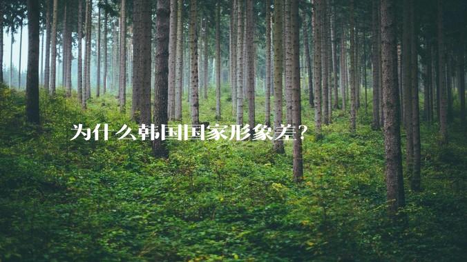 为什么韩国国家形象差？