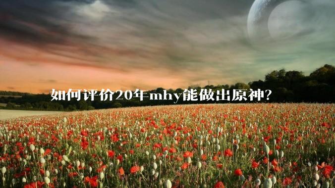 如何评价20年mhy能做出原神？