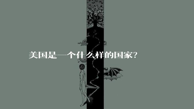 美国是一个什么样的国家？