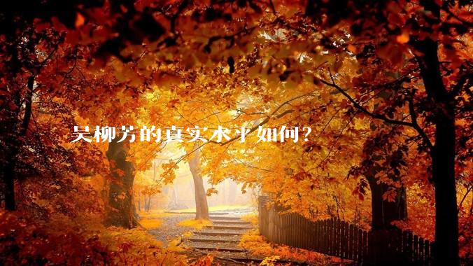 吴柳芳的真实水平如何？